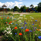 Typ S1 – Spielplatz Heimische Naturmischung