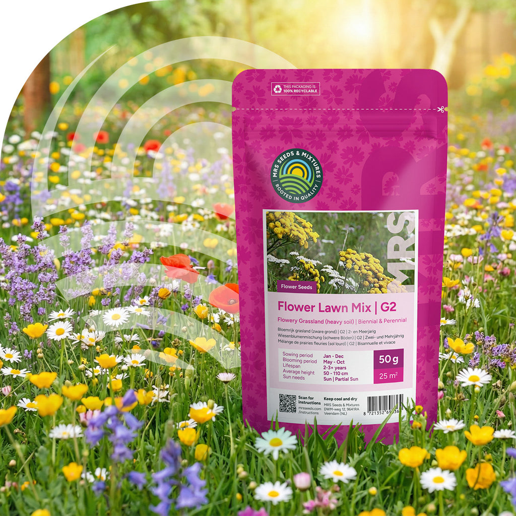 Typ G2 – Wiesenblumenmischung (schwere Böden)