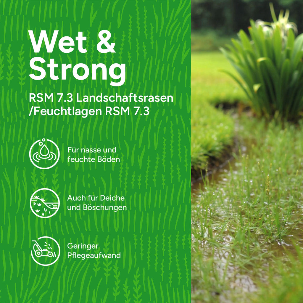 MRS-Seeds-DE-2-USPs [de]