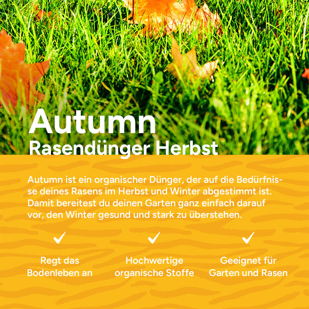[de]