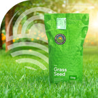 MRS-Seeds-4-Sfeer