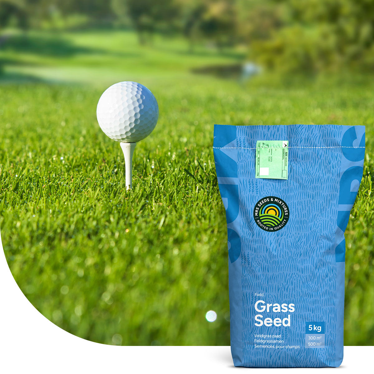 Golfrasen für Fairways und Semi-Roughs