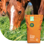 Horse – Recovery Mix | Pferdeweide Nachsaat