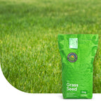 Allround – Grassamen | Gebrauchsrasen