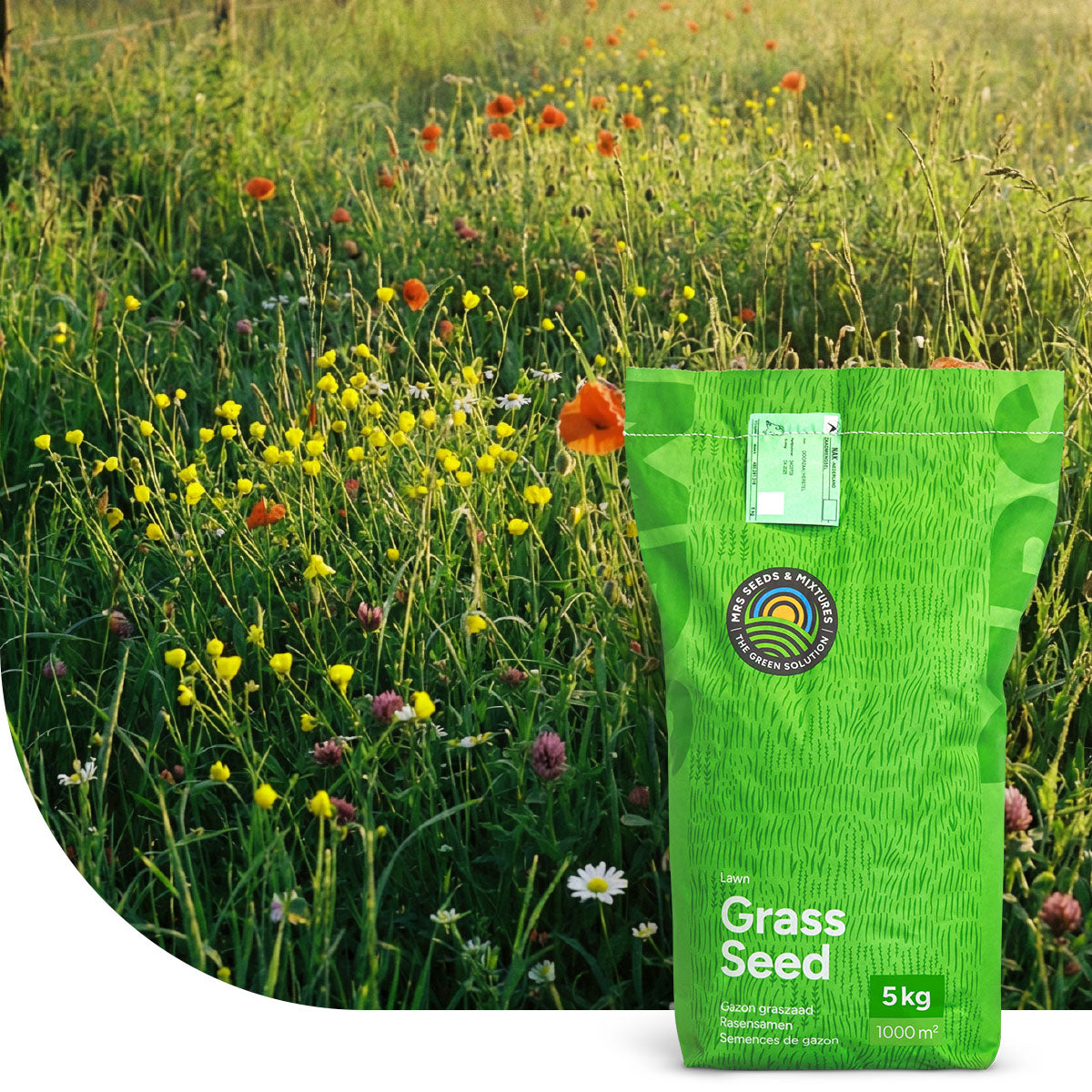 Flower Field – Grassamen mit Wildblumensamen