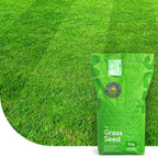 EasyMow – Grassamen | Pflegeleicht