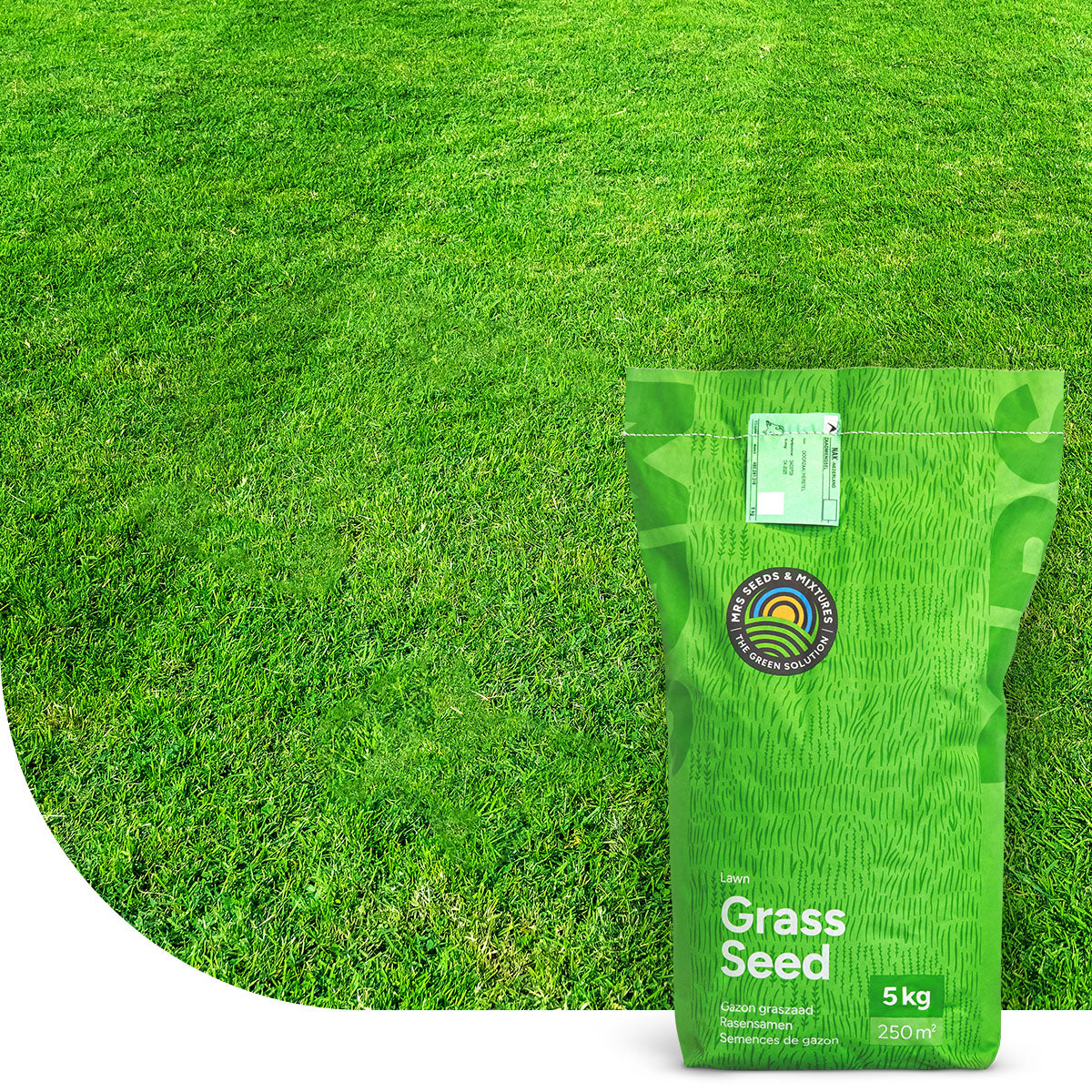 EasyMow – Grassamen | Pflegeleicht