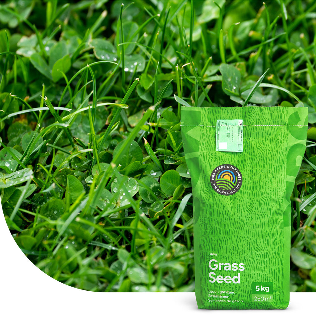 Clover Lawn – Grassamen mit Mikroklee