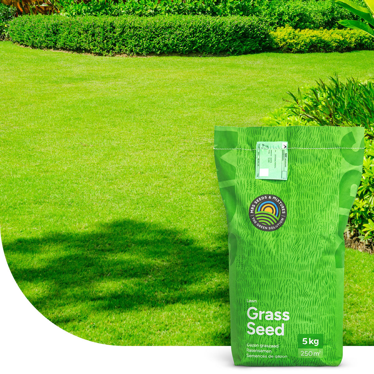 Green Perfection – Grassamen | Luxus-Zierrasen
