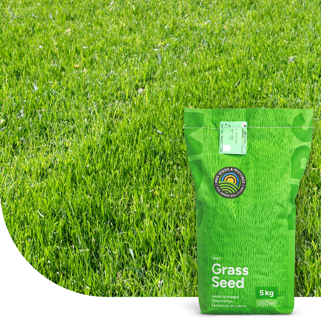 Turbo Green – Grassamen | Rasen Nachsaat