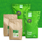 Clover Lawn – Grassamen mit Mikroklee