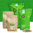 Turbo Green – Grassamen | Rasen Nachsaat