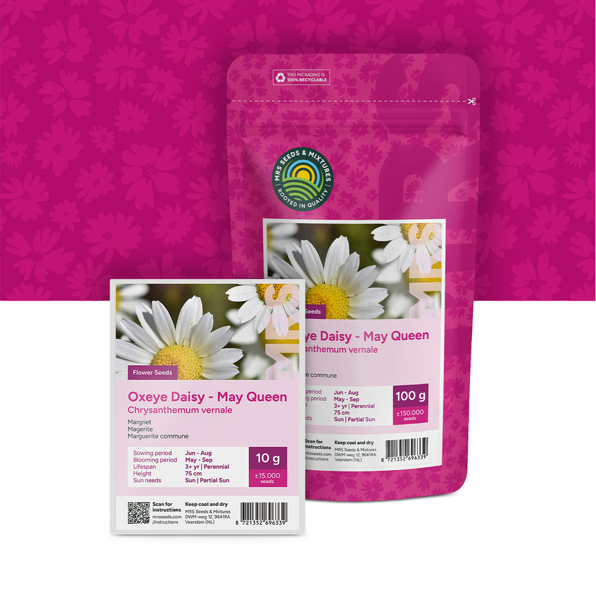 Magerwiesen-Margerite – Chrysanthemum vernale