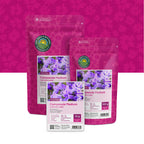 Marien-Glockenblume – Campanula medium