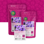 Marien-Glockenblume – Campanula medium