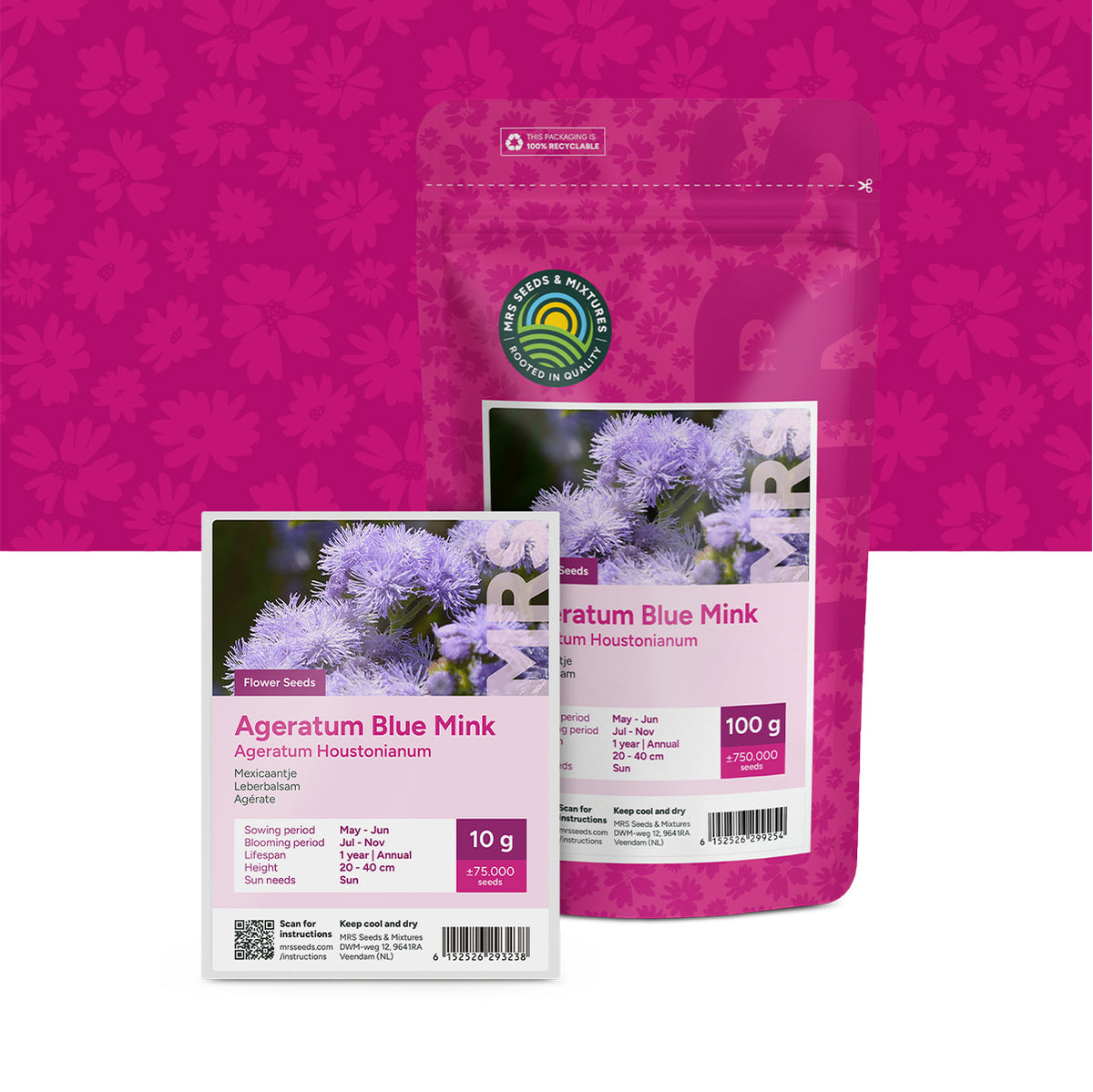 Leberbalsam – Ageratum houstonianum mix