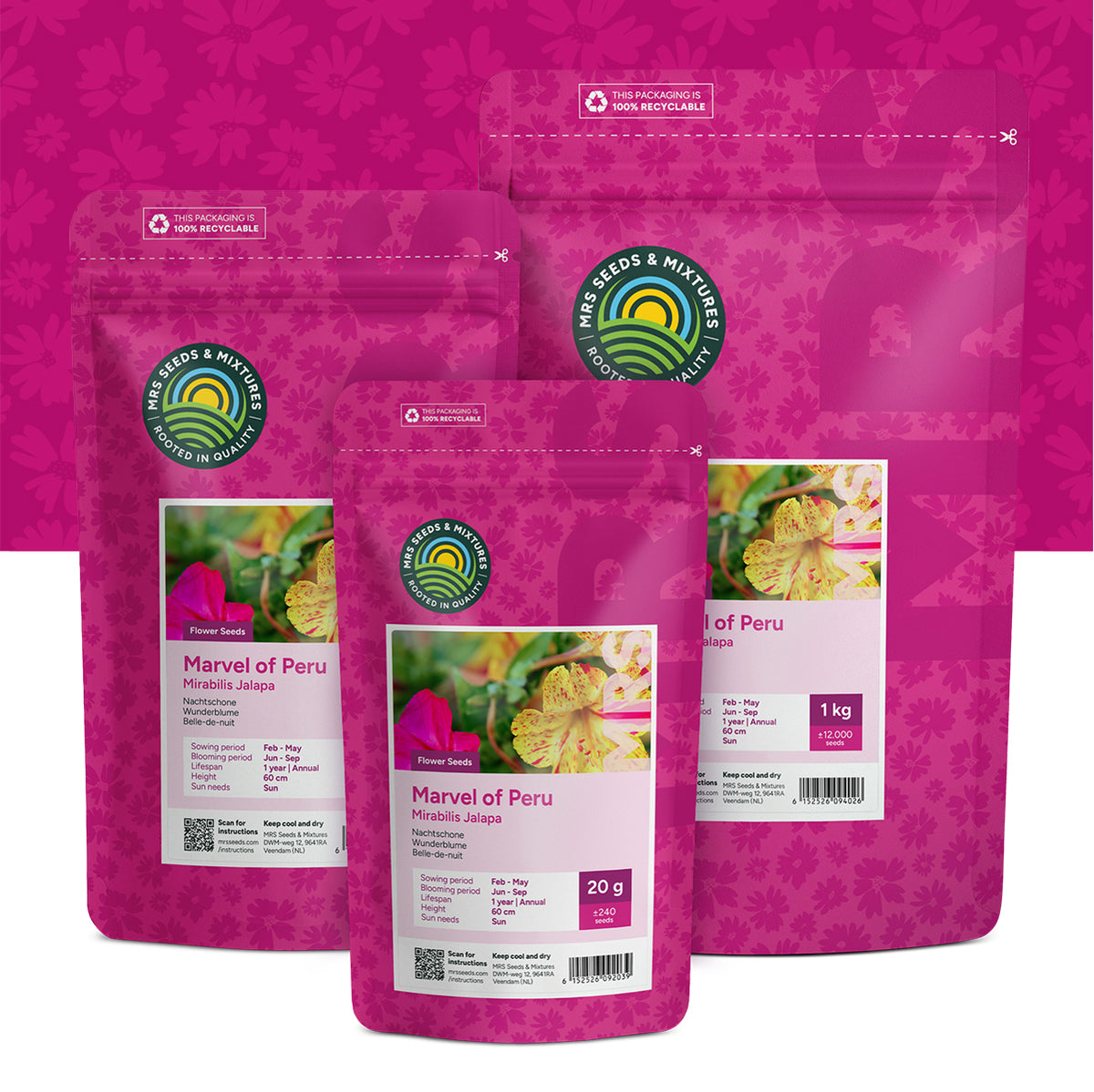 Wunderblume – Mirabilis jalapa