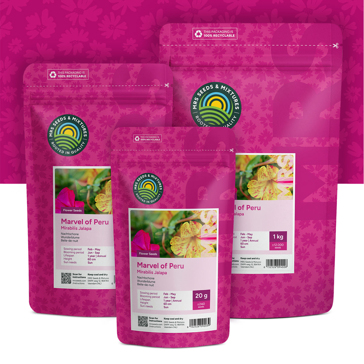 Wunderblume – Mirabilis jalapa