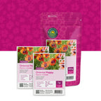 Türkische Mohn – Papaver orientale