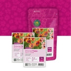 Türkische Mohn – Papaver orientale