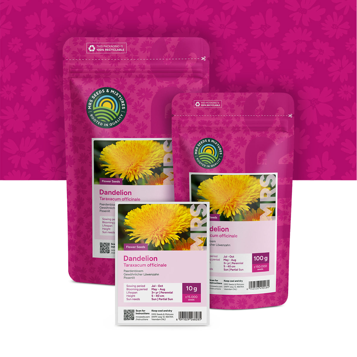 Gewöhnlicher Löwenzahn – Taraxacum officinale