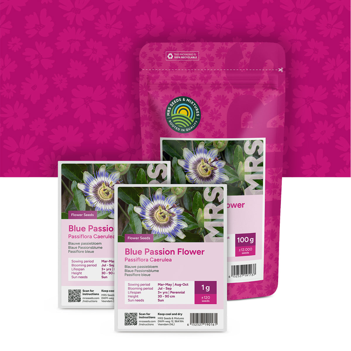 Blaue Passionsblume – Passiflora caerulea