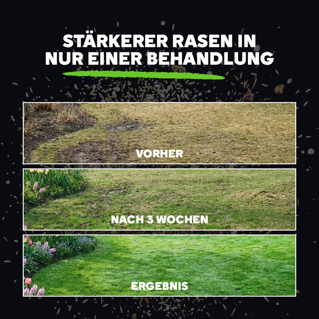 [de]