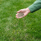 Power Lawn – All-in-One Rasenpaket
