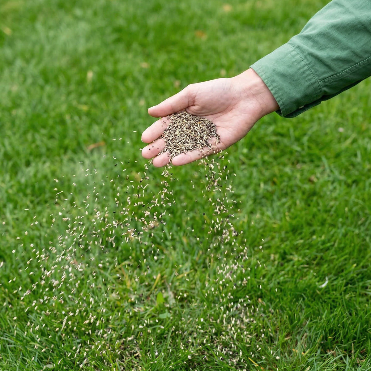 Power Lawn – All-in-One Rasenpaket