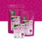 Platterbse 'Cupid Rose' – mischung