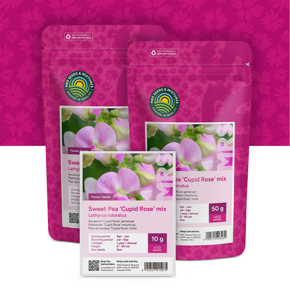 Platterbse 'Cupid Rose' – mischung