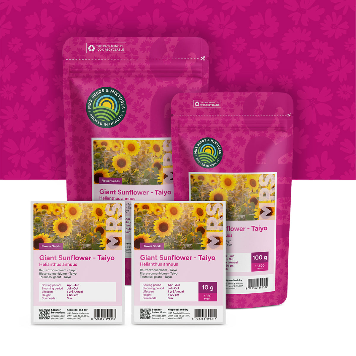 Riesensonnenblume 'Taiyo' – Helianthus annuus