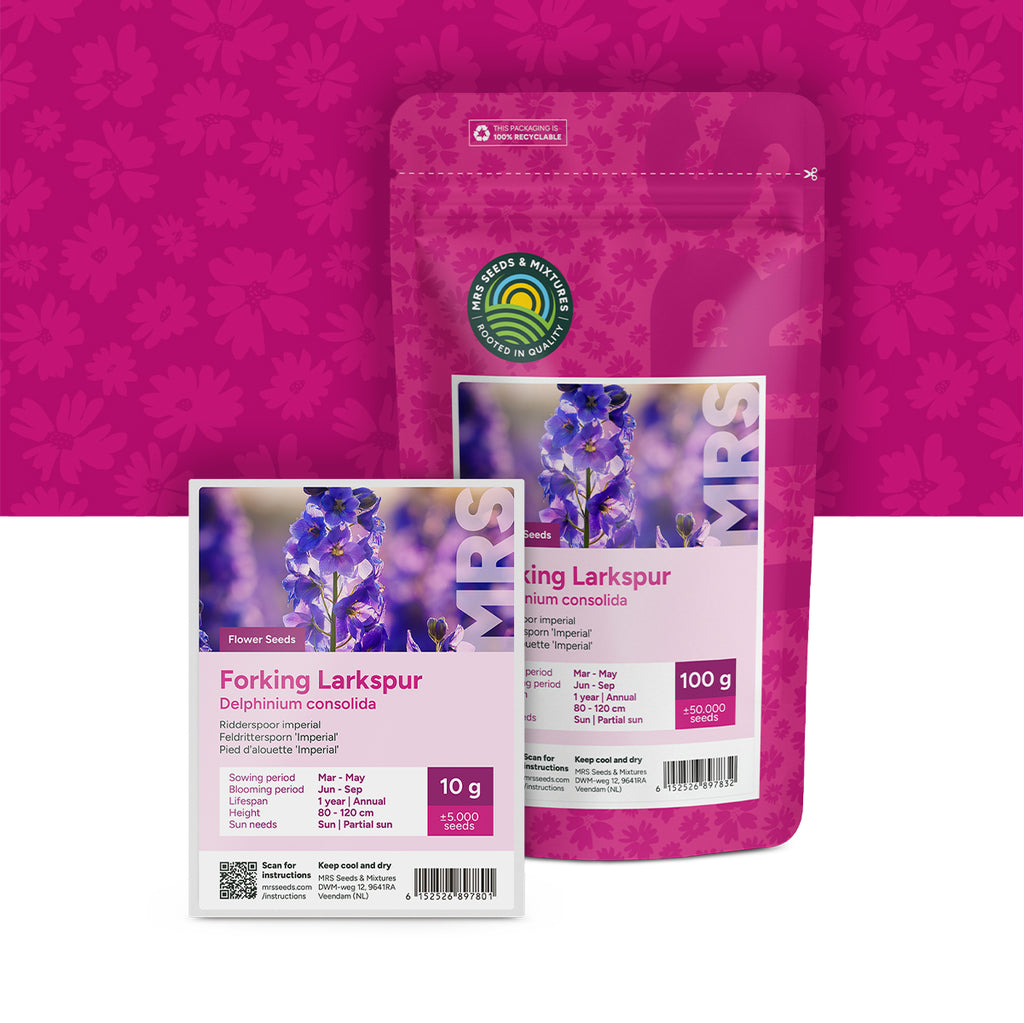 Feldrittersporn 'Imperial' – Delphinium consolida