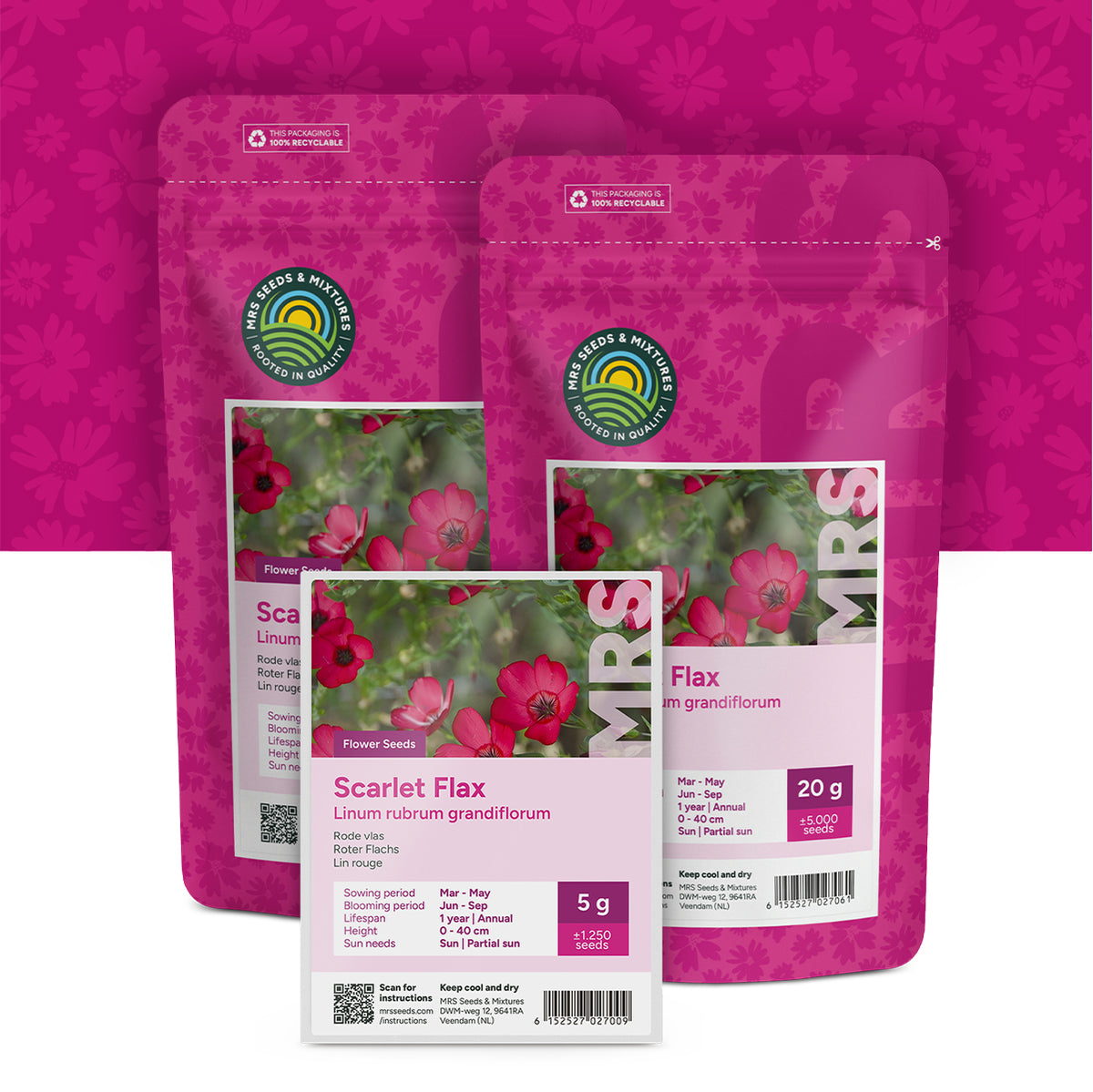 Roter Flachs – Linum Rubrum Grandiflorum