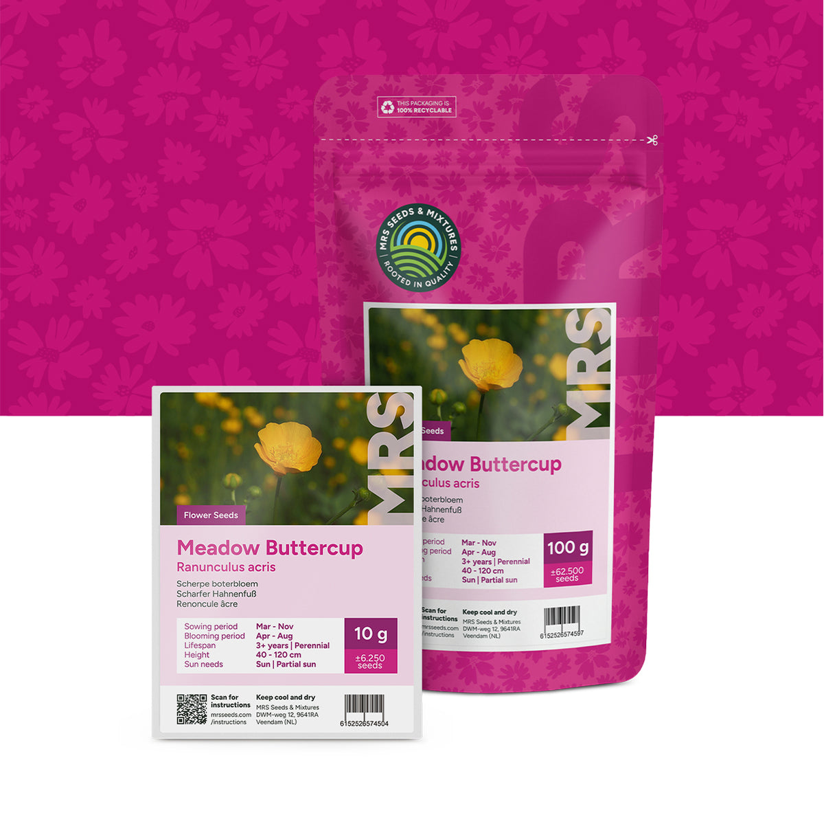 Scharfer Hahnenfuß – Ranunculus acris