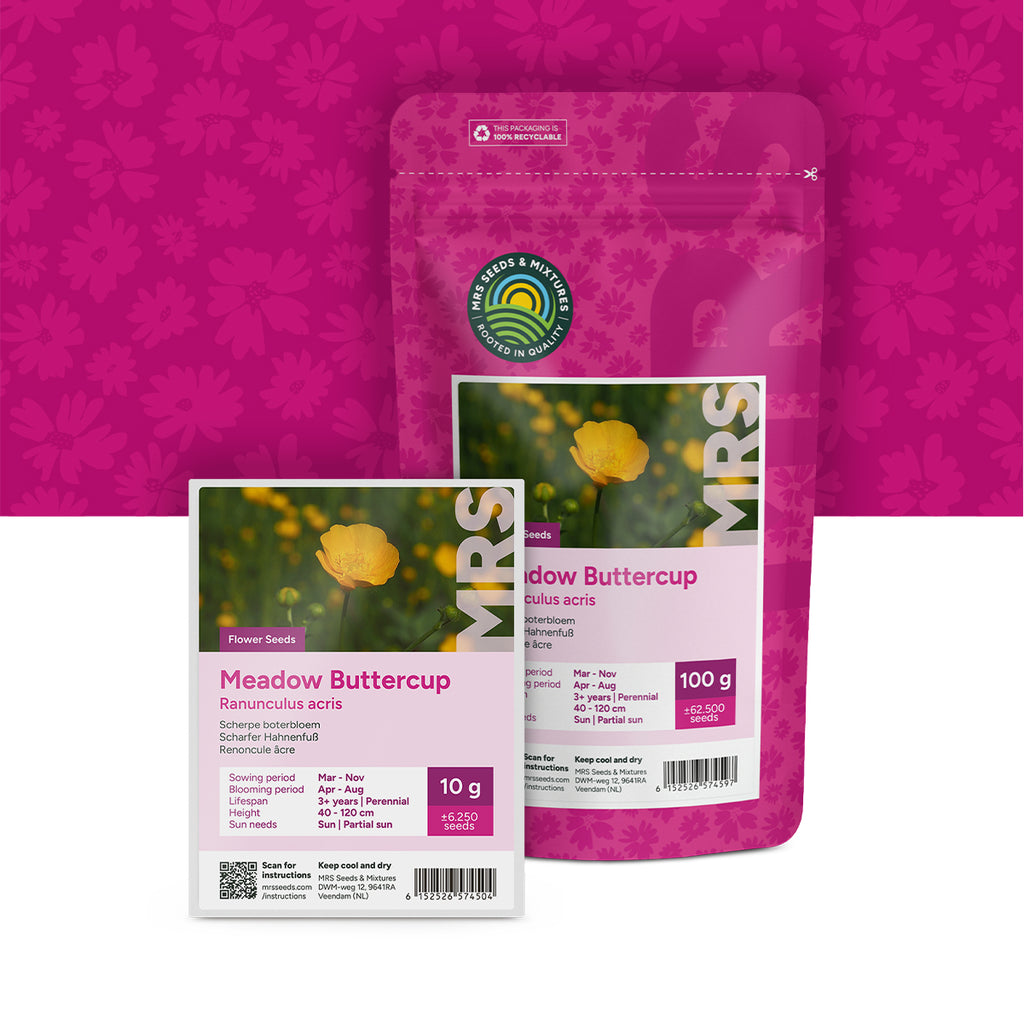 Scharfer Hahnenfuß – Ranunculus acris