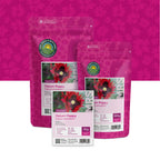 Schlafmohn (gemischt) – Papaver Somniferum