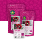 Schlafmohn (gemischt) – Papaver Somniferum