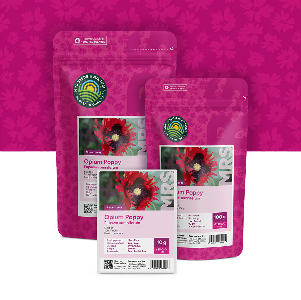 Schlafmohn (gemischt) – Papaver Somniferum
