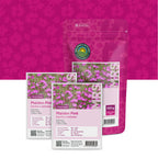 Heide-Nelke – Dianthus deltoides