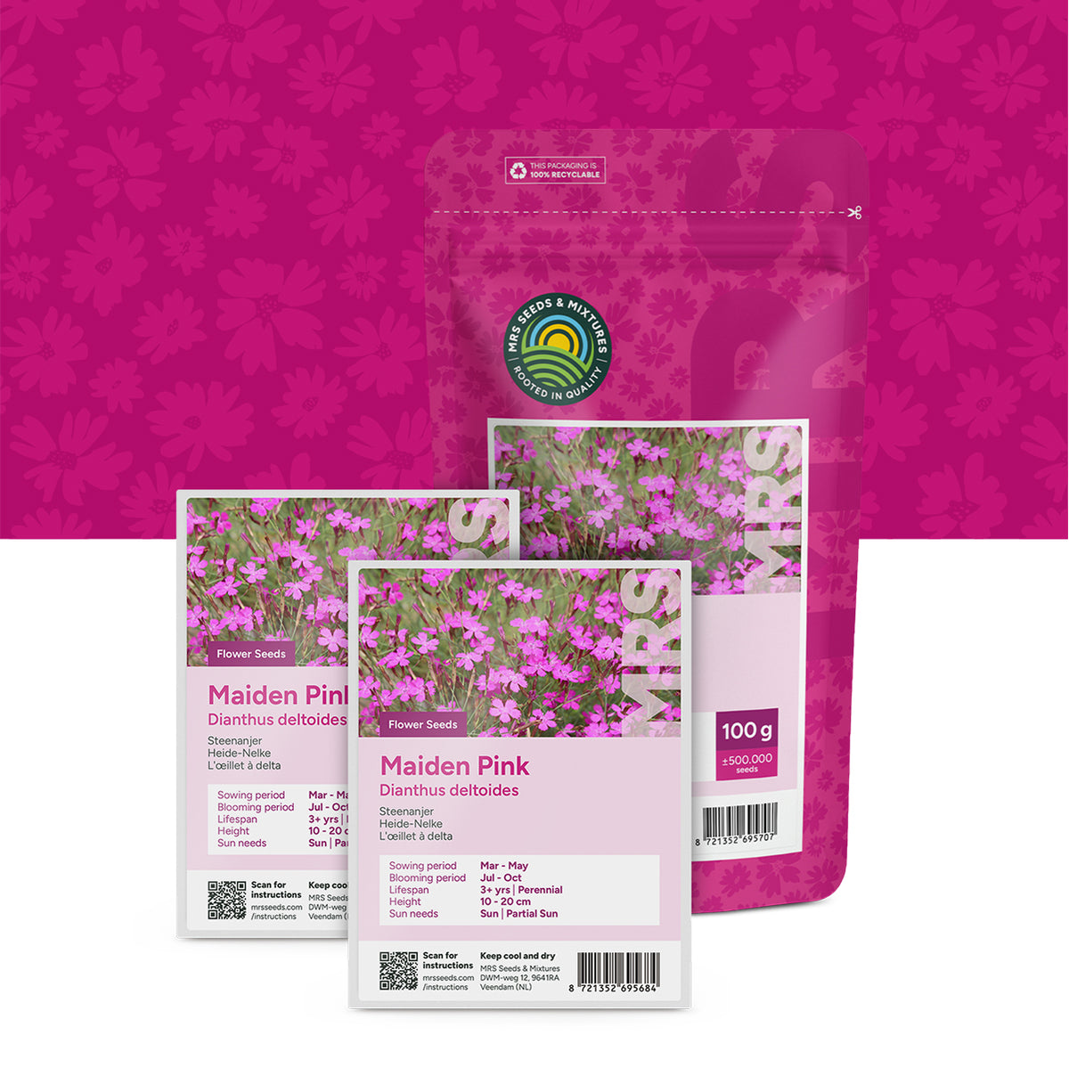 Heide-Nelke – Dianthus deltoides