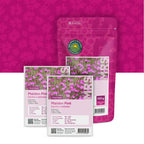 Heide-Nelke – Dianthus deltoides