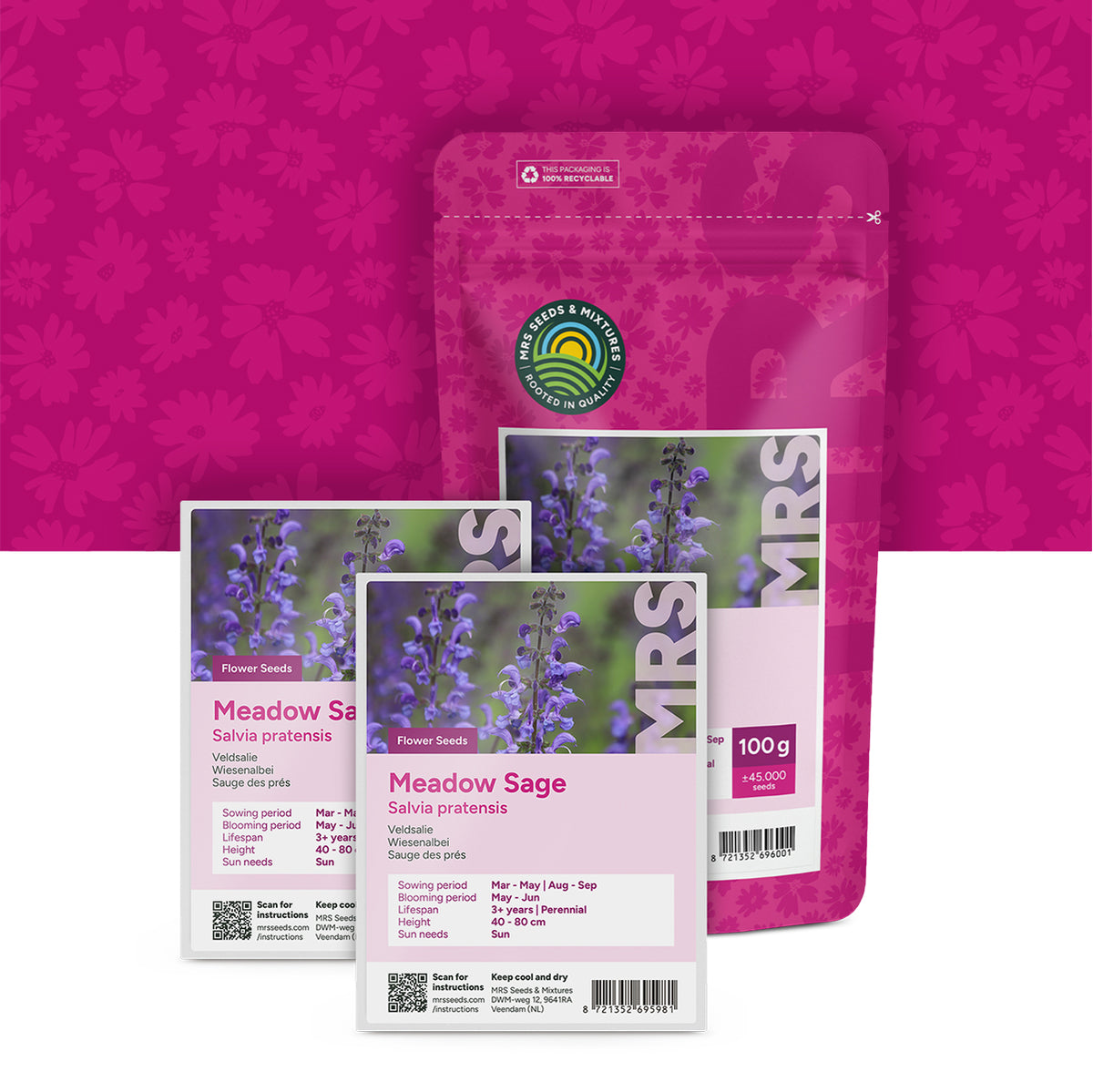 Wiesensalbei – Salvia pratensis