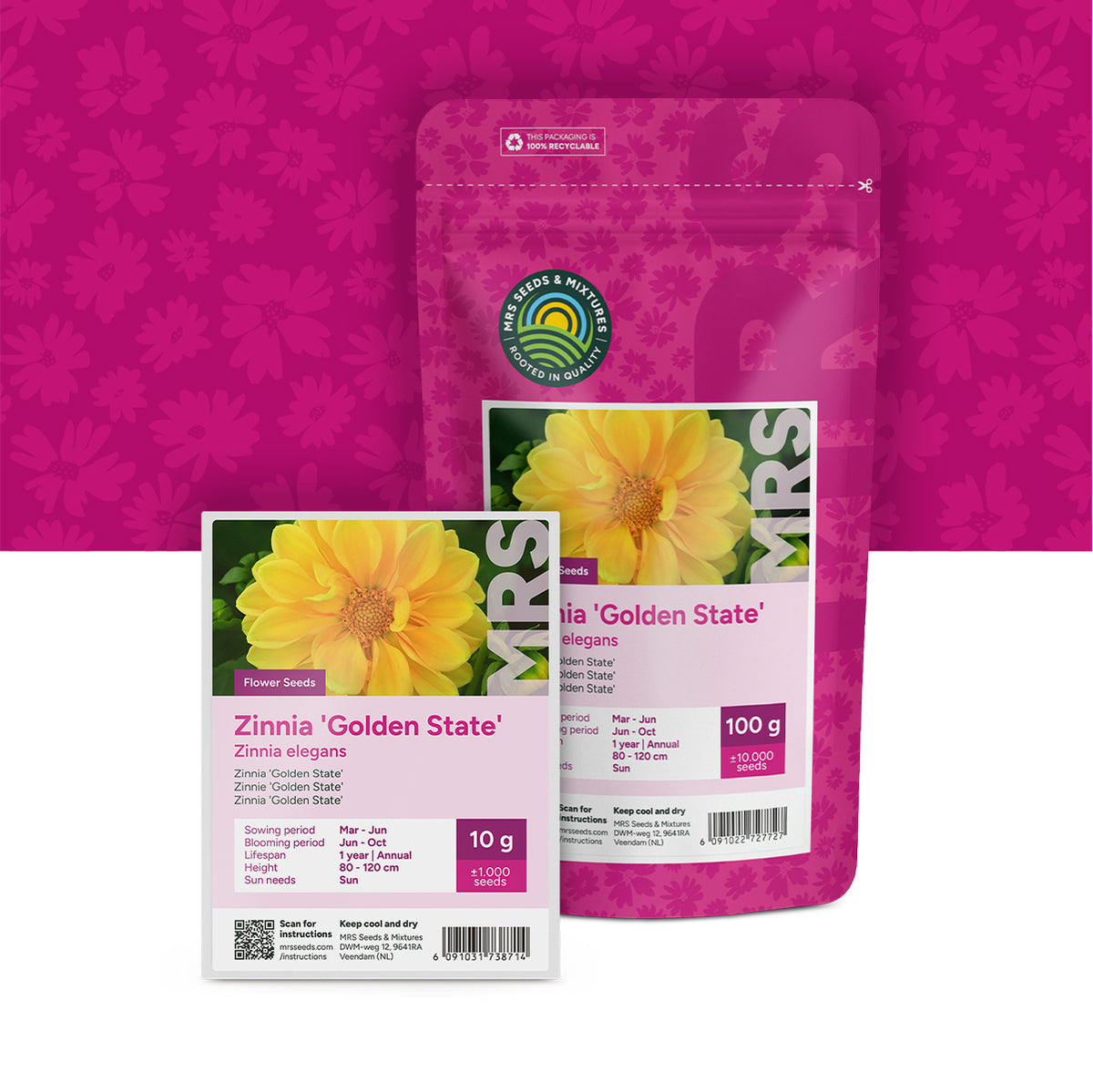 Zinnie –  Zinnia elegans 'Golden State'