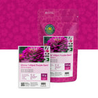 Zinnie elegans-Lilliput Purple Gem