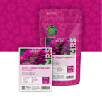 Zinnie elegans-Lilliput Purple Gem