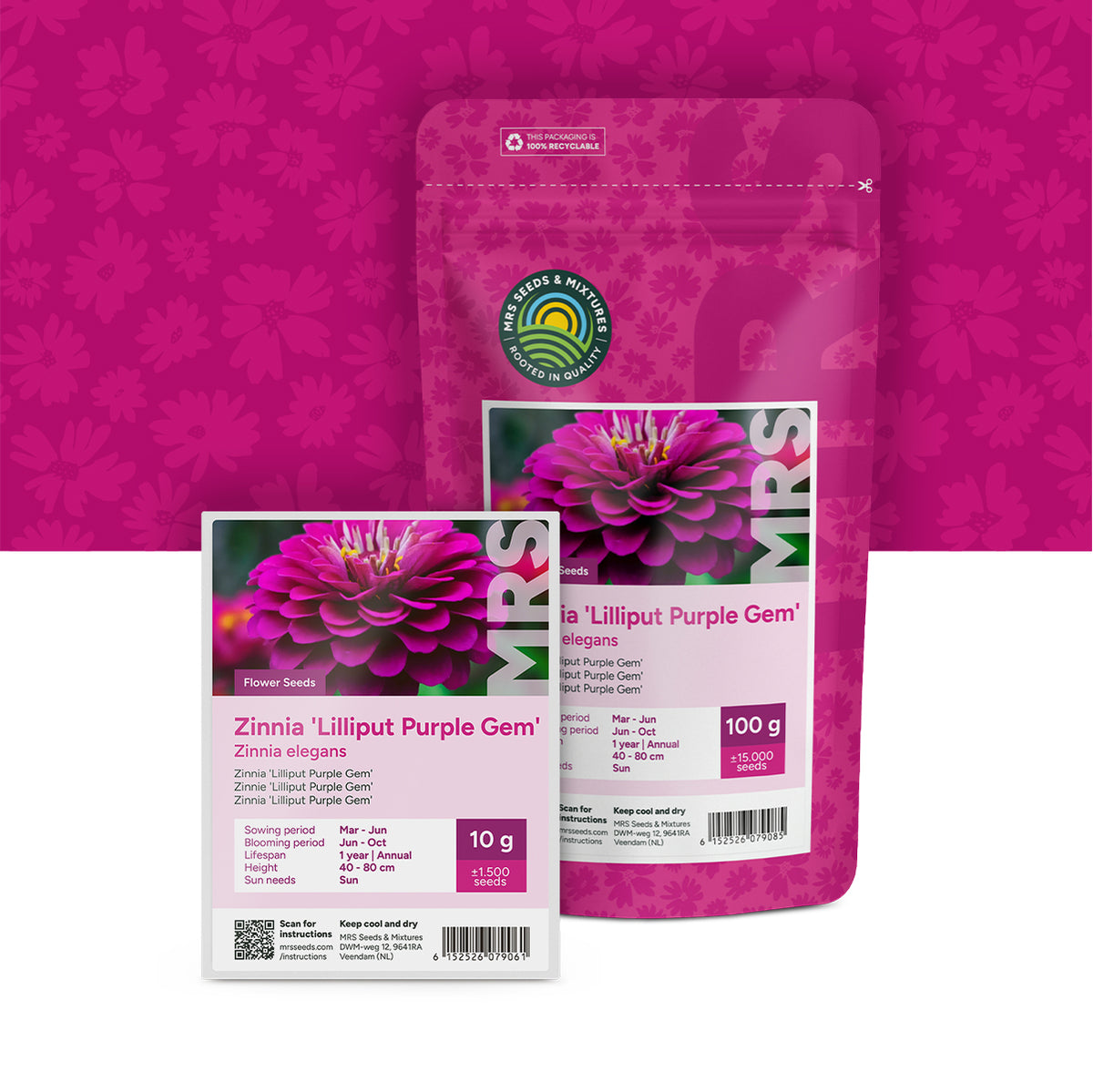 Zinnie elegans-Lilliput Purple Gem
