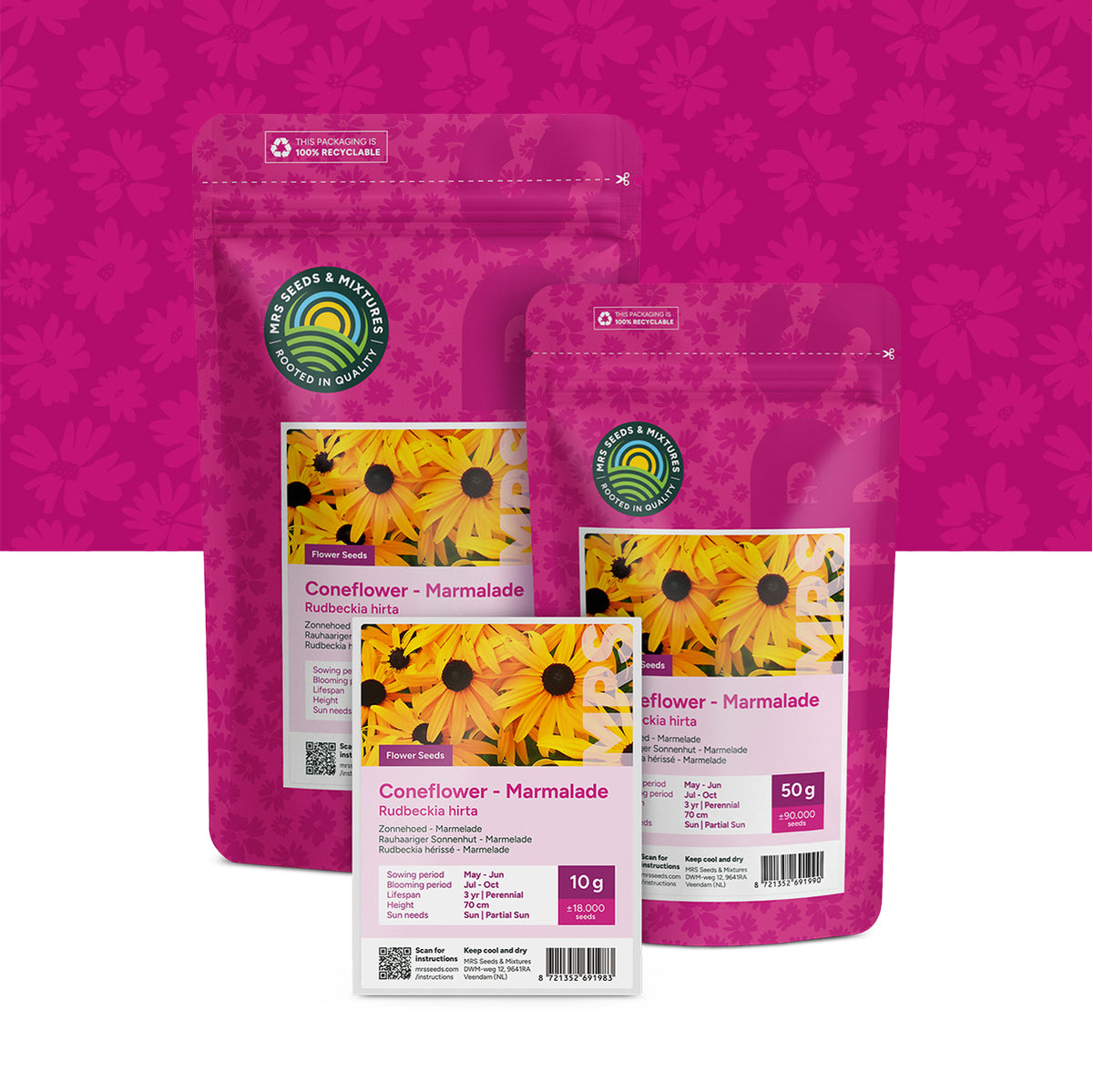 Rauer Sonnenhut 'Marmelade' – Rudbeckia hirta