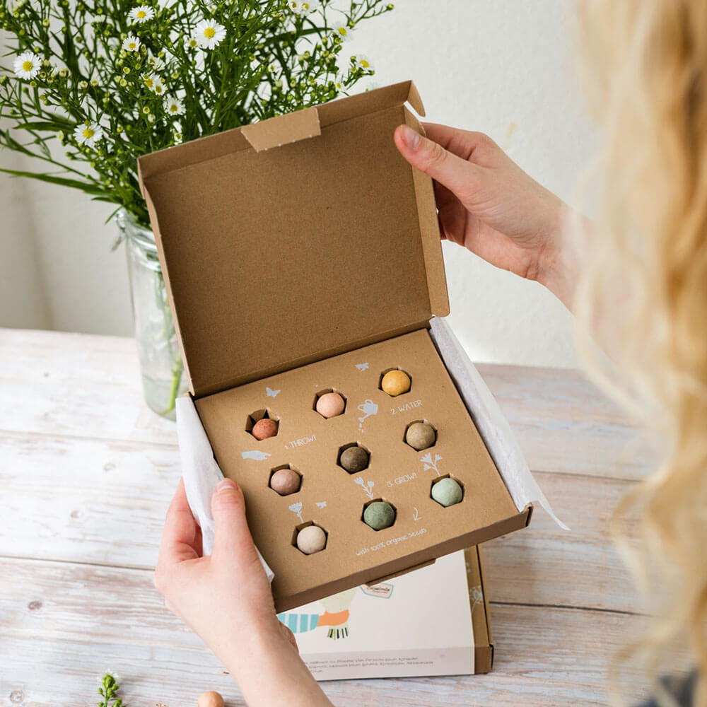 Blossombs Giftbox Medium 'Es ist Frühling ' Saatkugel - 9 Stück [de]