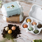 Blossombs Geschenk-Eierkarton 'Es ist Frühling' - 6 Saatkugel [de]